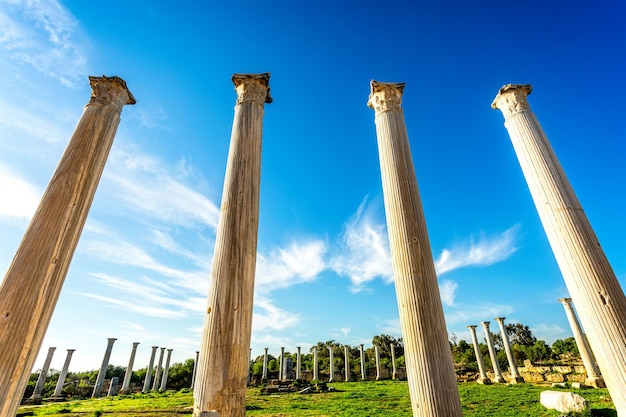 Colonnes antiques à Salamis site archéologique grec et romain Famagouste Chypre du Nord