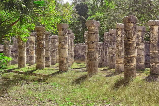 Colonnes mayas et végétation tropicale