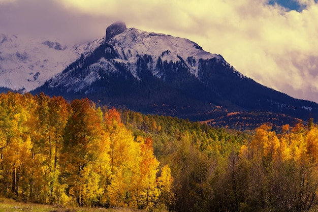 Colorado