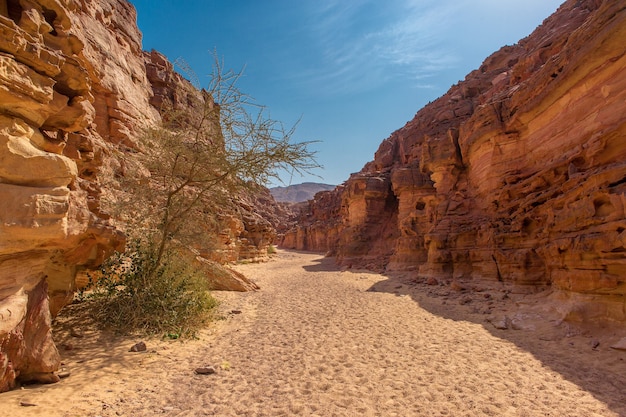 Colored Canyon est une formation rocheuse sur la péninsule du sud du Sinaï (Égypte). Roches du désert de fond de grès multicolore.