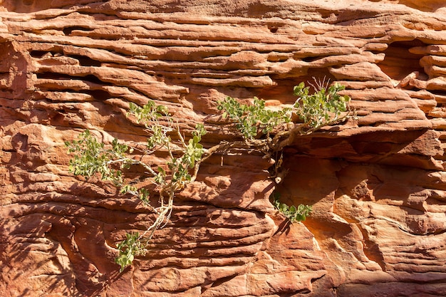 Colored Canyon est une formation rocheuse sur la péninsule du sud du Sinaï.