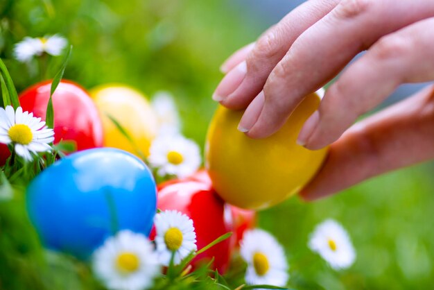 Colorful easter eggs sur l&#39;herbe