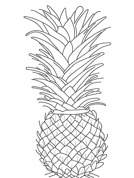 Photo coloriage d'ananas pour les enfants