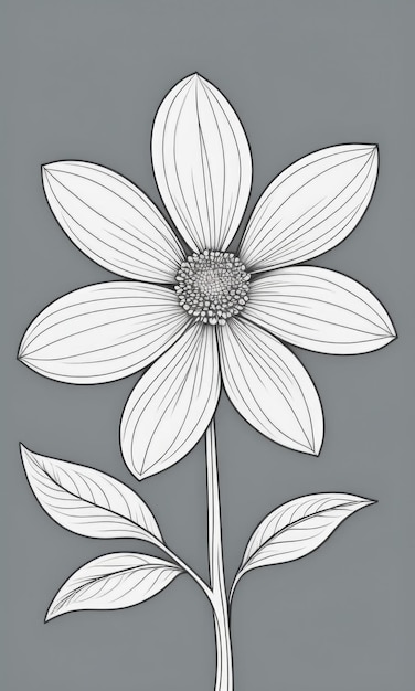 Photo coloriage de fleurs de stramonium pour enfants