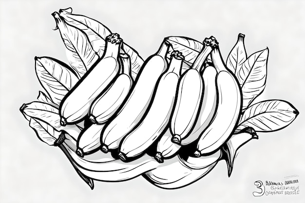 Coloriage régime 3 bananes noir et blanc fond blanc