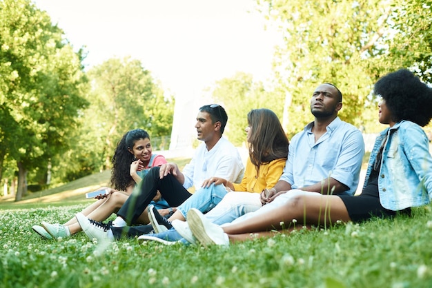 Communication d'amis de races différentes sur fond d'herbe dans le parc