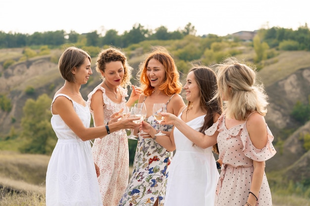 La compagnie d'amis féminines profite d'un pique-nique d'été et soulève des verres de vin