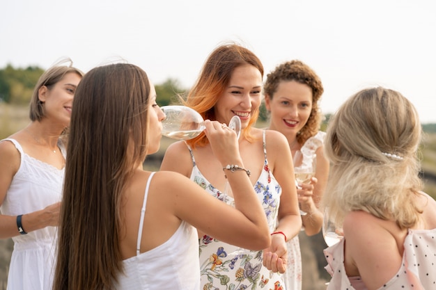 La compagnie de magnifiques amies s'amusant, buvant du vin et profitant du pique-nique du paysage des collines