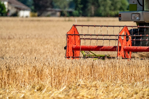 Compagnon de récolte dans une ferme