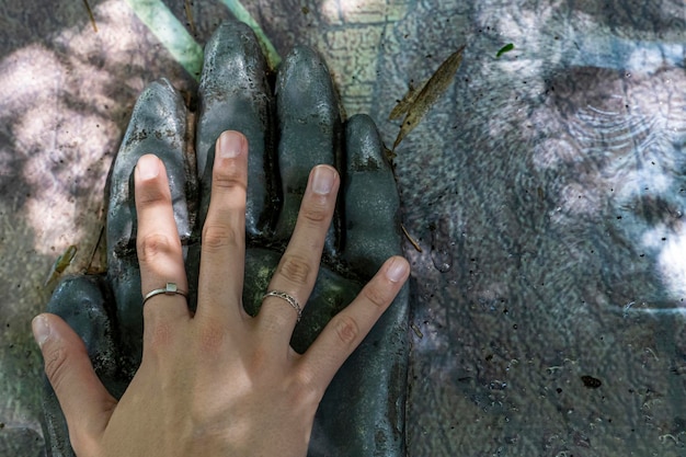 Comparaison de la taille d'une main humaine à la main d'un singe orang-outan main d'une jeune femme guadalajara