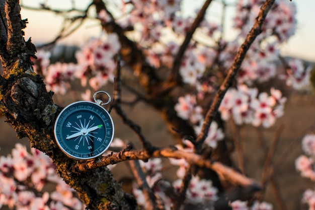 Un compas magnétique dans un arbre en fleurs contre.