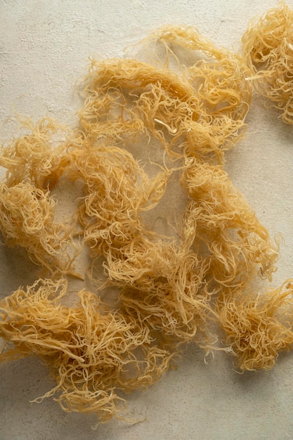 Complément alimentaire sain Golden Sea Moss riche en minéraux et vitamines utilisé pour la nutrition et la santé