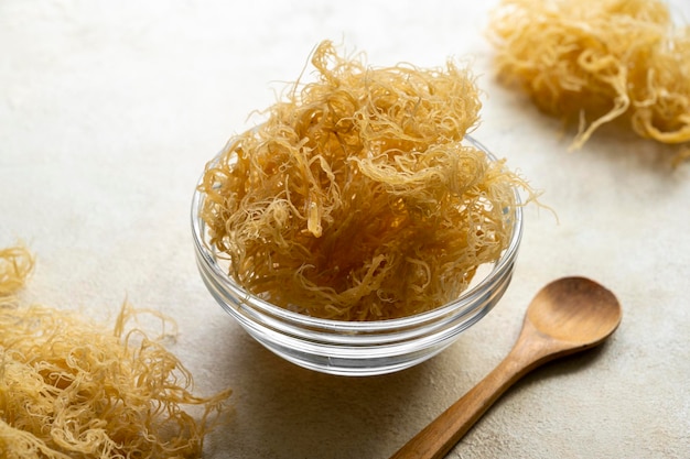 Complément alimentaire sain Golden Sea Moss riche en minéraux et vitamines utilisé pour la nutrition et la santé