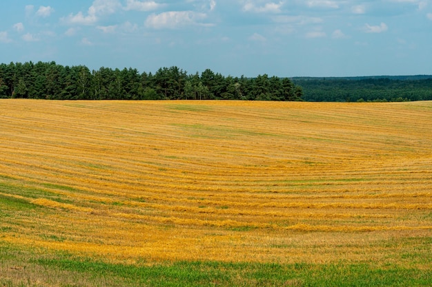 Complexe agro-industriel pour la culture de céréales blé seigle maïs et orge Utilisation d'engrais de mauvaise qualité et non naturels pour la campagne de semis Mauvaise récolte et menace de famine