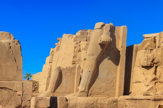 Le complexe du temple de Karnak, communément appelé Karnak, comprend un vaste mélange de temples, de chapelles, de pylônes et d'autres bâtiments en décomposition à Louxor, en Égypte