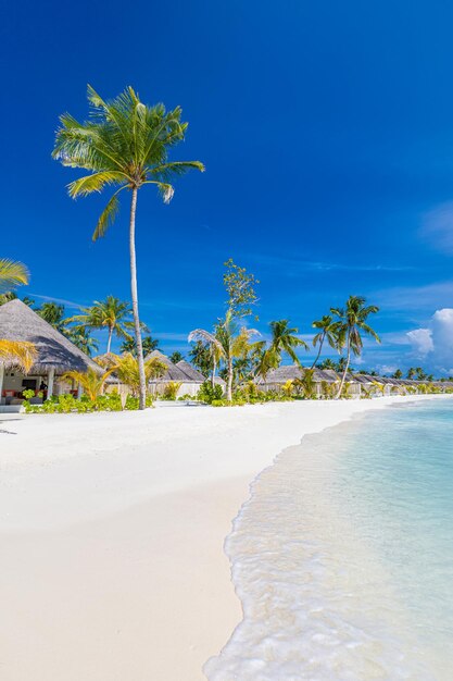 Complexe de luxe avec villas de plage et feuilles de palmier sur sable blanc, près de la mer bleue, paysage marin