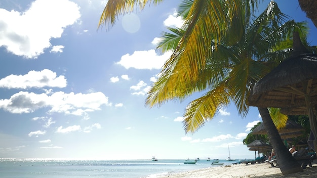 Complexe tropical et transat vide au bord de l'océan