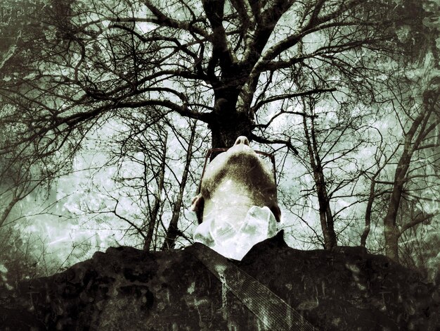 Photo composite numérique d'un homme regardant vers le haut contre un arbre nu