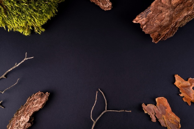 Composition abstraite avec podiums d'écorce d'arbre et de mousse pour la présentation des produits