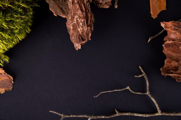 Composition abstraite avec podiums d'écorce d'arbre et de mousse pour la présentation des produits