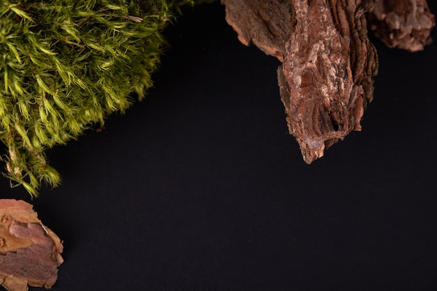 Composition abstraite avec podiums d'écorce d'arbre et de mousse pour la présentation des produits