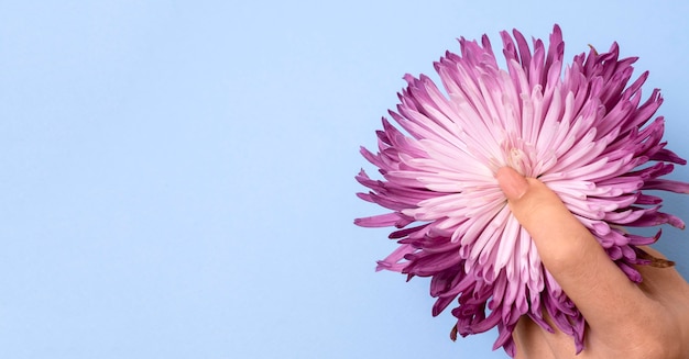 Photo composition abstraite de la santé sexuelle avec fleur