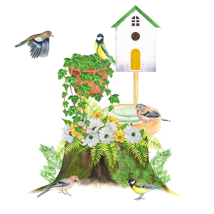 Photo composition aquarelle dessinée à la main avec des oiseaux de geai mésange nichoir et des plantes de jardin