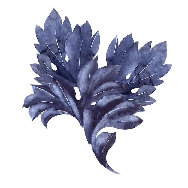 Composition aquarelle avec une plante d'acanthe stylisée. Feuilles, rameaux et fleurs