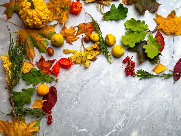 Composition d'automne Cadre composé de feuilles séchées d'automne mélangées citrouille physalis cydonia baies rouges sur fond de marbre Vue de dessus plate lay copie espace