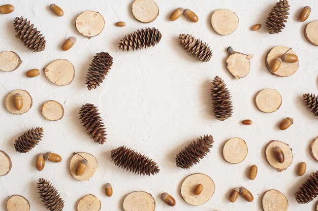 Composition d&#39;automne, cadre composé de pommes de pin, de glands et de petites souches en bois.