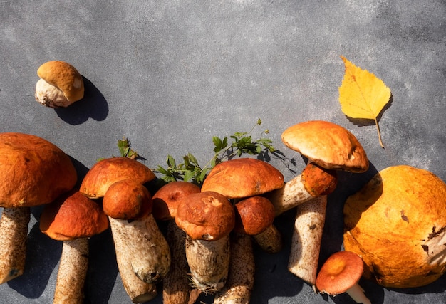 Composition d'automne Champignons comestibles crus Cuisiner de délicieuses spécialités de champignons biologiques Vue de dessus plate et plate avec espace pour le texte