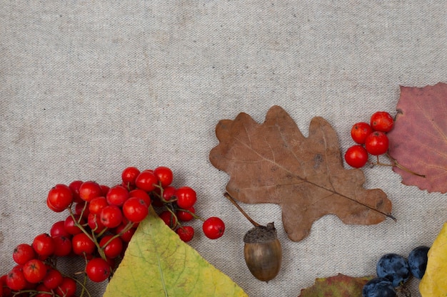 Photo composition d'automne avec citrouille et fleurs sèches dans le panier automne symbole naturel saisonnier de l'automne