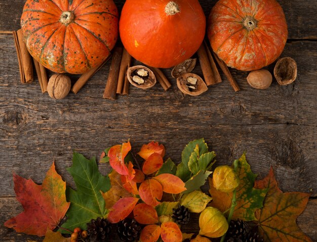 Composition d'automne avec des citrouilles fraîches colorées et des feuilles d'automne, Thanksgiving, fond d'automne, vue de dessus, fond