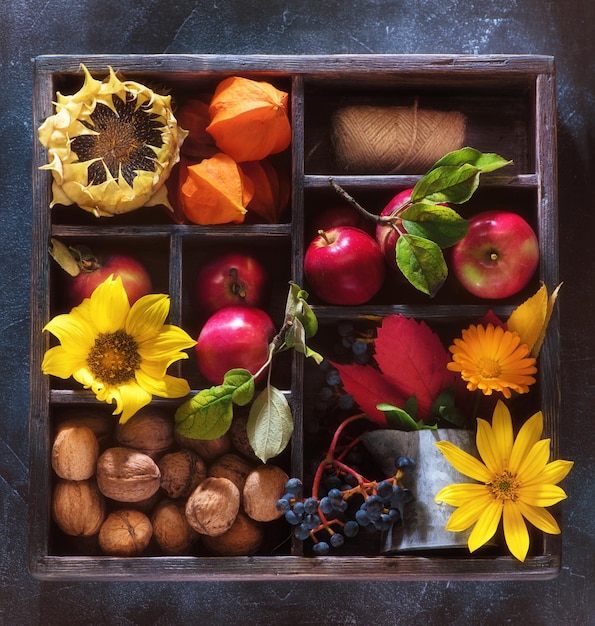 Composition d'automne dans une boîte en bois à plat