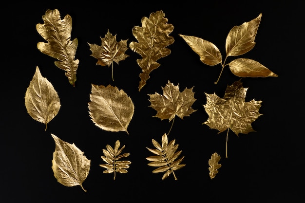 Photo composition d'automne de différentes feuilles d'or