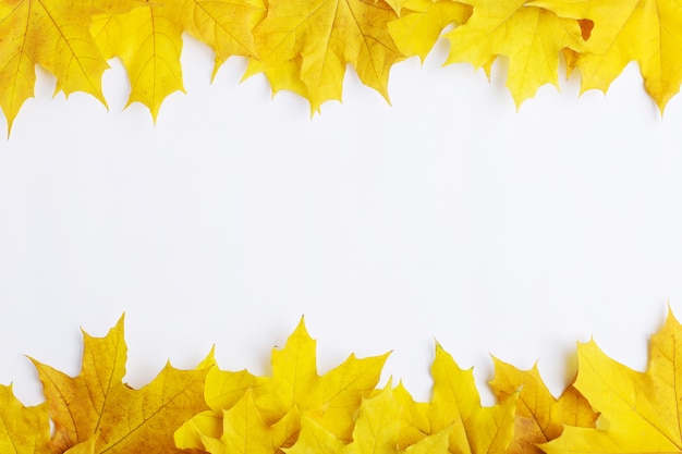 Composition d'automne de feuilles sur fond blanc.