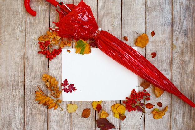 Photo composition d'automne avec des feuilles jaunes et rouges et berrie