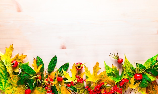 Composition d'automne avec des feuilles jaunes, rowan et crankerberry sur bois