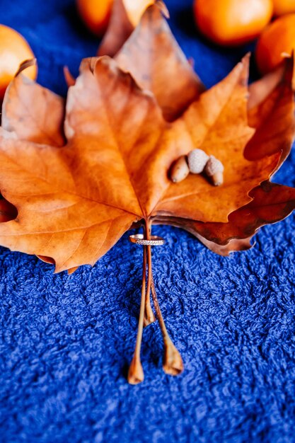 Composition d'automne de feuilles d'oranger dans un anneau avec des glands