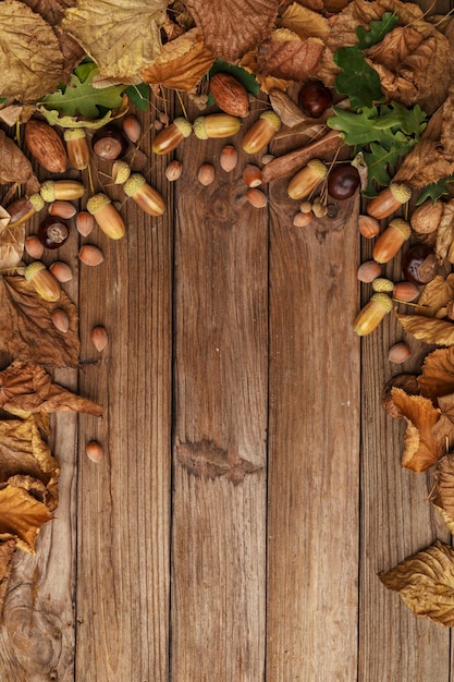 Composition d'automne avec des feuilles sèches et des citrouilles mûres sur une table en bois Vue de dessus Espace de copie