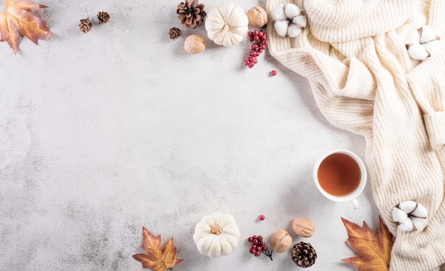 Composition d'automne Fleurs de coton citrouille feuilles d'automne et pull sur pierre