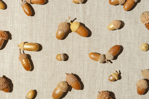 Composition d'automne avec des glands secs naturels chêne sur une table de tissu de lin fond beige neutre motif géométrique à partir de matériaux naturels concept d'automme automne tendance minimale à poser à plat