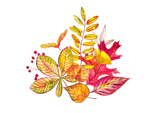 Composition d'automne. Illustrations faites de baies et de feuilles d'automne. Illustrations aquarelles.