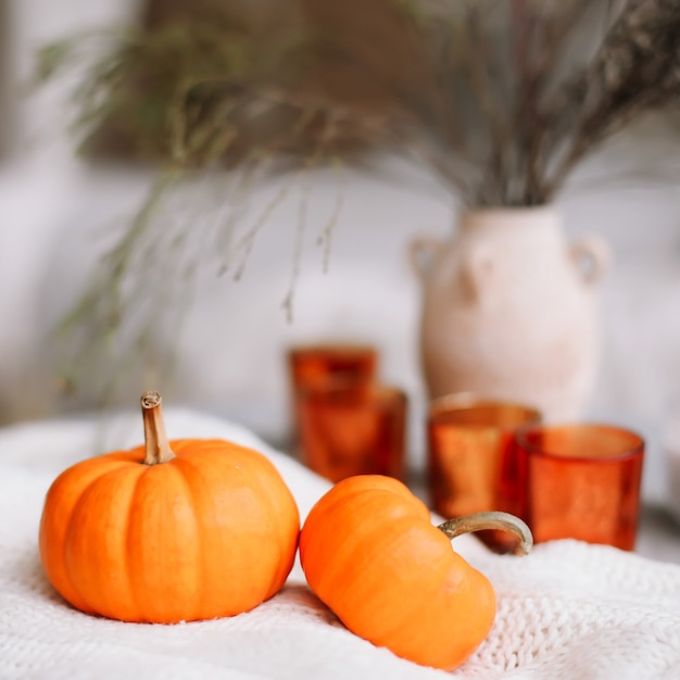 Composition d'automne avec livre de bougies citrouilles et fleurs séchées avec plaid chaud