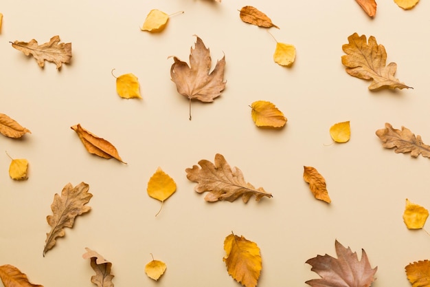 Composition d'automne Motif composé de feuilles séchées et d'autres accessoires de design sur la table Vue de dessus à plat