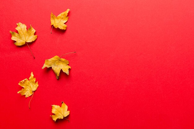 Composition d'automne Motif composé de feuilles séchées et d'autres accessoires de design sur la table Vue de dessus à plat