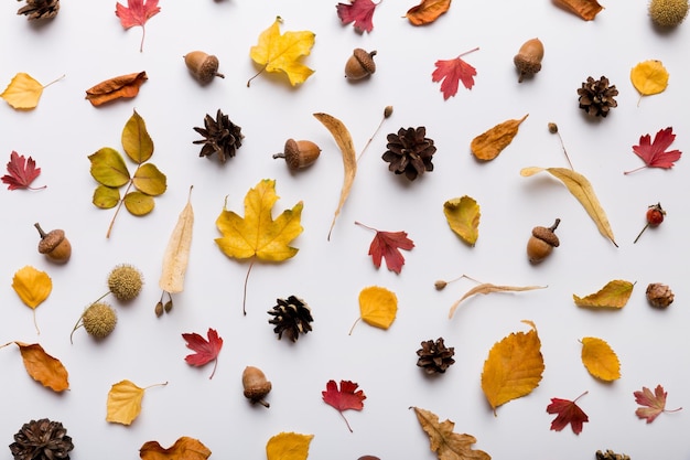 Composition d'automne Patron fait de feuilles séchées et d'autres accessoires de conception sur la table Vue supérieure plate