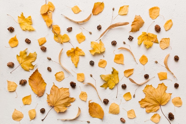 Composition d'automne Patron fait de feuilles séchées et d'autres accessoires de conception sur la table Vue supérieure plate