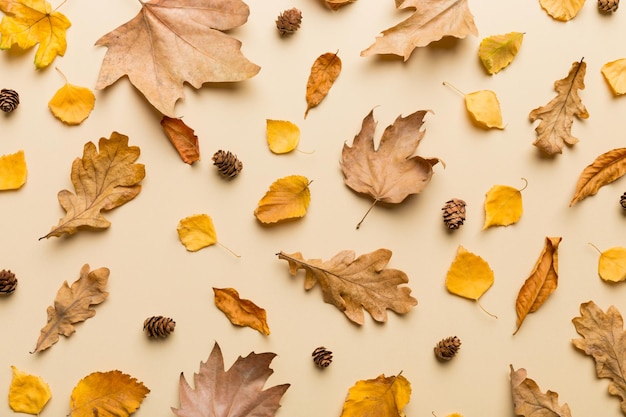 Composition d'automne Patron fait de feuilles séchées et d'autres accessoires de conception sur la table Vue supérieure plate