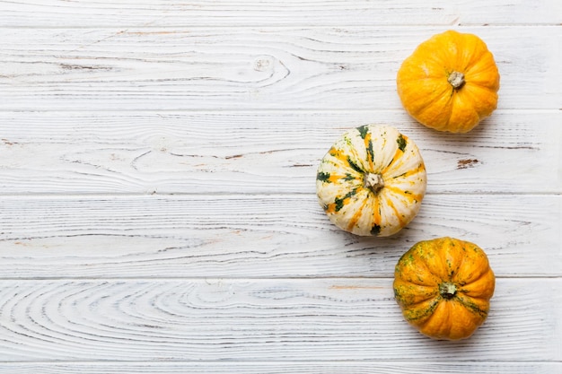 Composition d'automne de petites citrouilles orange sur fond de table coloré Concept d'Halloween et d'Action de grâce de l'automne Photographie à l'échelle plate vue supérieure avec espace de copie